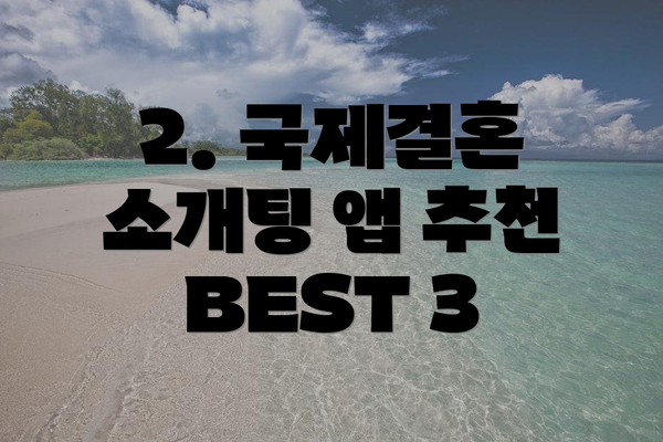 2. 국제결혼 소개팅 앱 추천 BEST 3