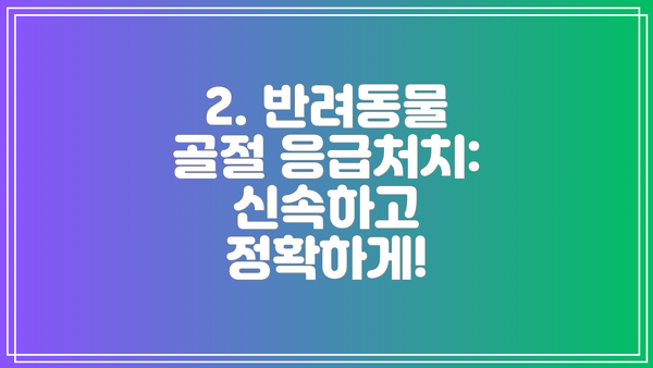 2. 반려동물 골절 응급처치: 신속하고 정확하게!