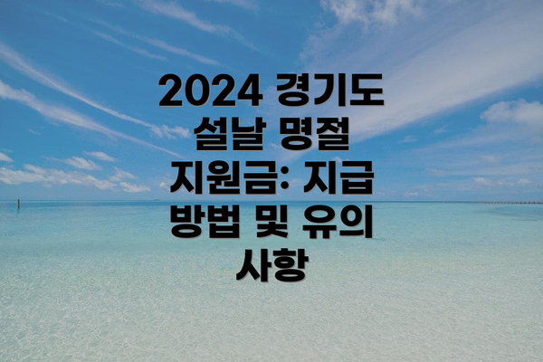 2024 경기도 설날 명절 지원금: 개요