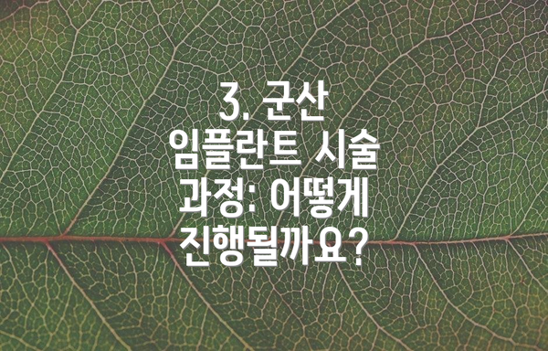 3. 군산 임플란트 시술 과정: 어떻게 진행될까요?