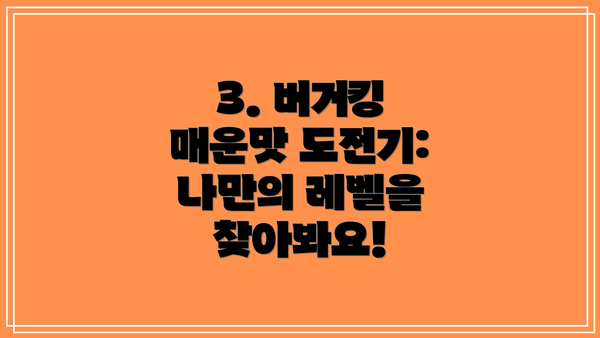 3. 버거킹 매운맛 도전기:  나만의 레벨을 찾아봐요!