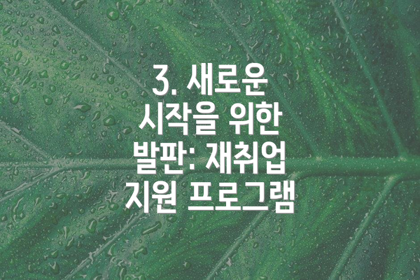 3. 새로운 시작을 위한 발판: 재취업 지원 프로그램