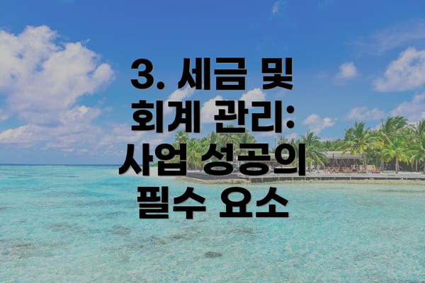 3. 세금 및 회계 관리: 사업 성공의 필수 요소