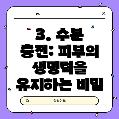 3. 수분 충전: 피부의 생명력을 유지하는 비밀