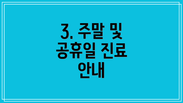 3. 주말 및 공휴일 진료 안내