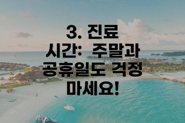 3. 진료 시간:  주말과 공휴일도 걱정 마세요!