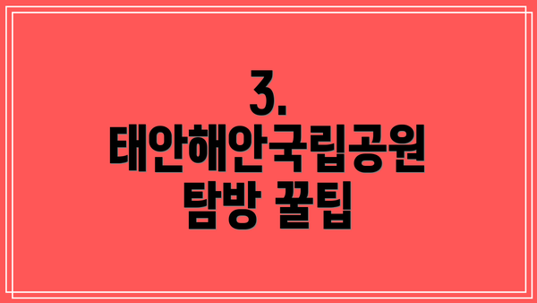 3.  태안해안국립공원 탐방 꿀팁