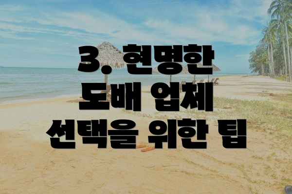 3. 현명한 도배 업체 선택을 위한 팁