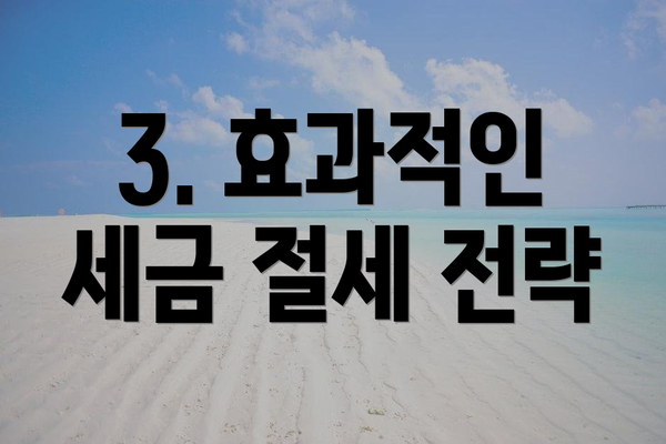3. 효과적인 세금 절세 전략