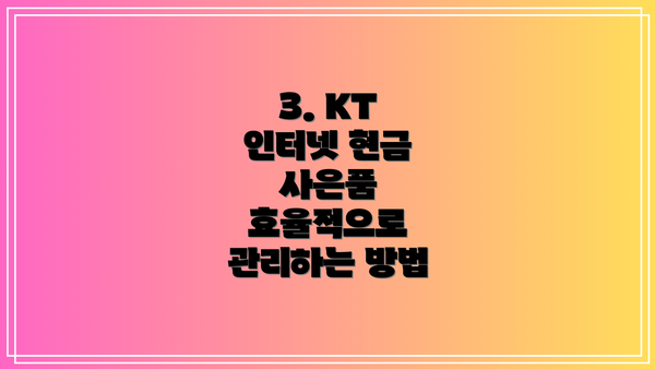 3. KT 인터넷 현금 사은품 효율적으로 관리하는 방법