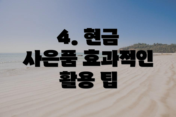 4. 현금 사은품 효과적인 활용 팁