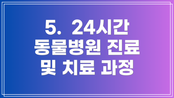 5.  24시간 동물병원 진료 및 치료 과정