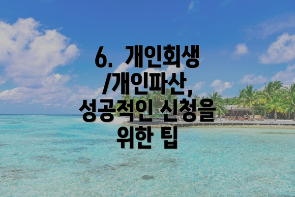 6.  개인회생/개인파산, 성공적인 신청을 위한 팁