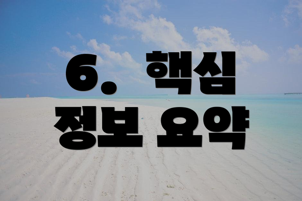 6.  핵심 정보 요약