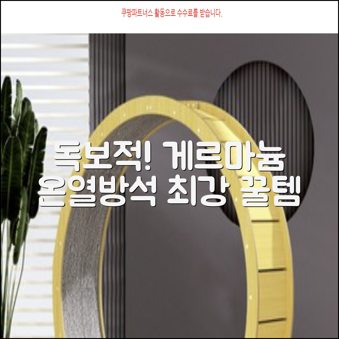 한일메디칼 GERMANIUM 게르마늄 온열 건강방석, 1인용 48X48mm, 1개 추천 리뷰