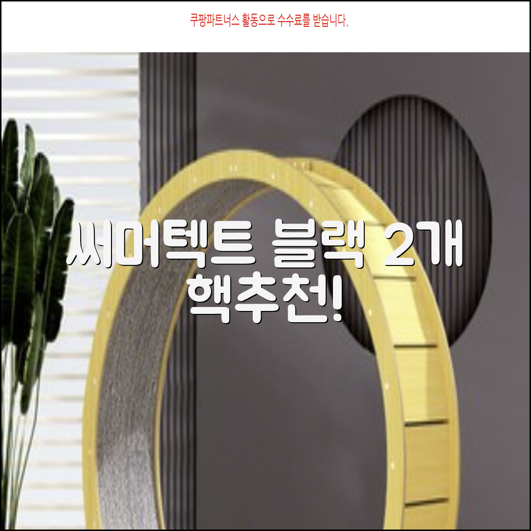써머텍트 기능성 헤어밴드, 블랙, 2개 추천 리뷰