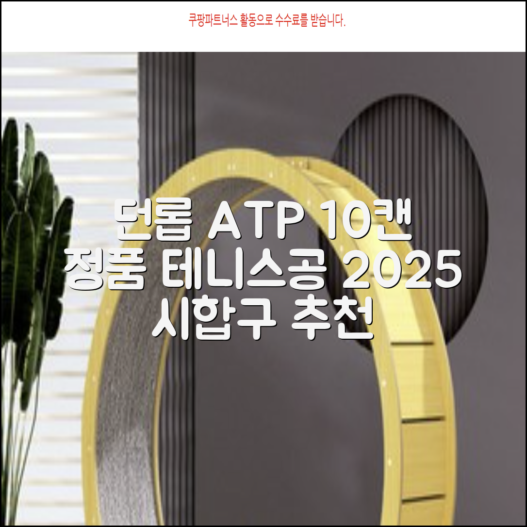2025 던롭 ATP 테니스공 10캔 (20볼) 시합구, 던롭 ATP볼 10캔 (20볼), 10세트 추천 리뷰