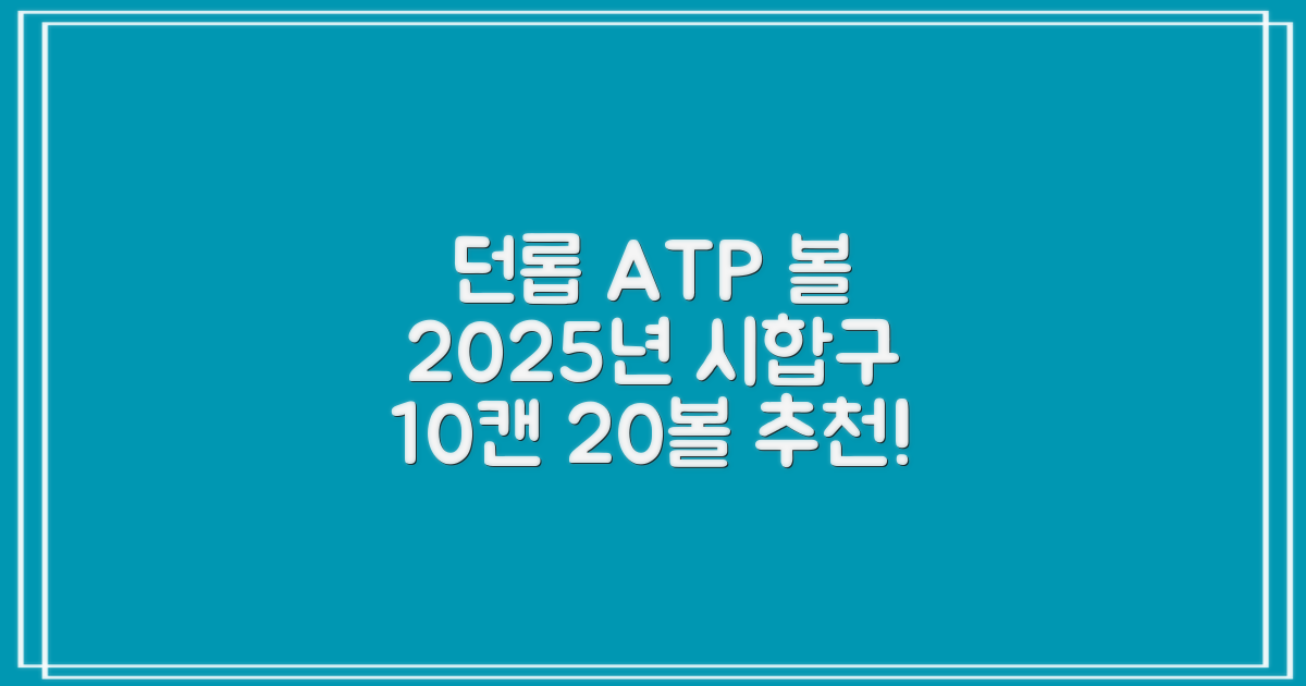 2025 던롭 ATP 테니스공 10캔 (20볼) 시합구, 던롭 ATP볼 10캔 (20볼), 10세트 추천 리뷰