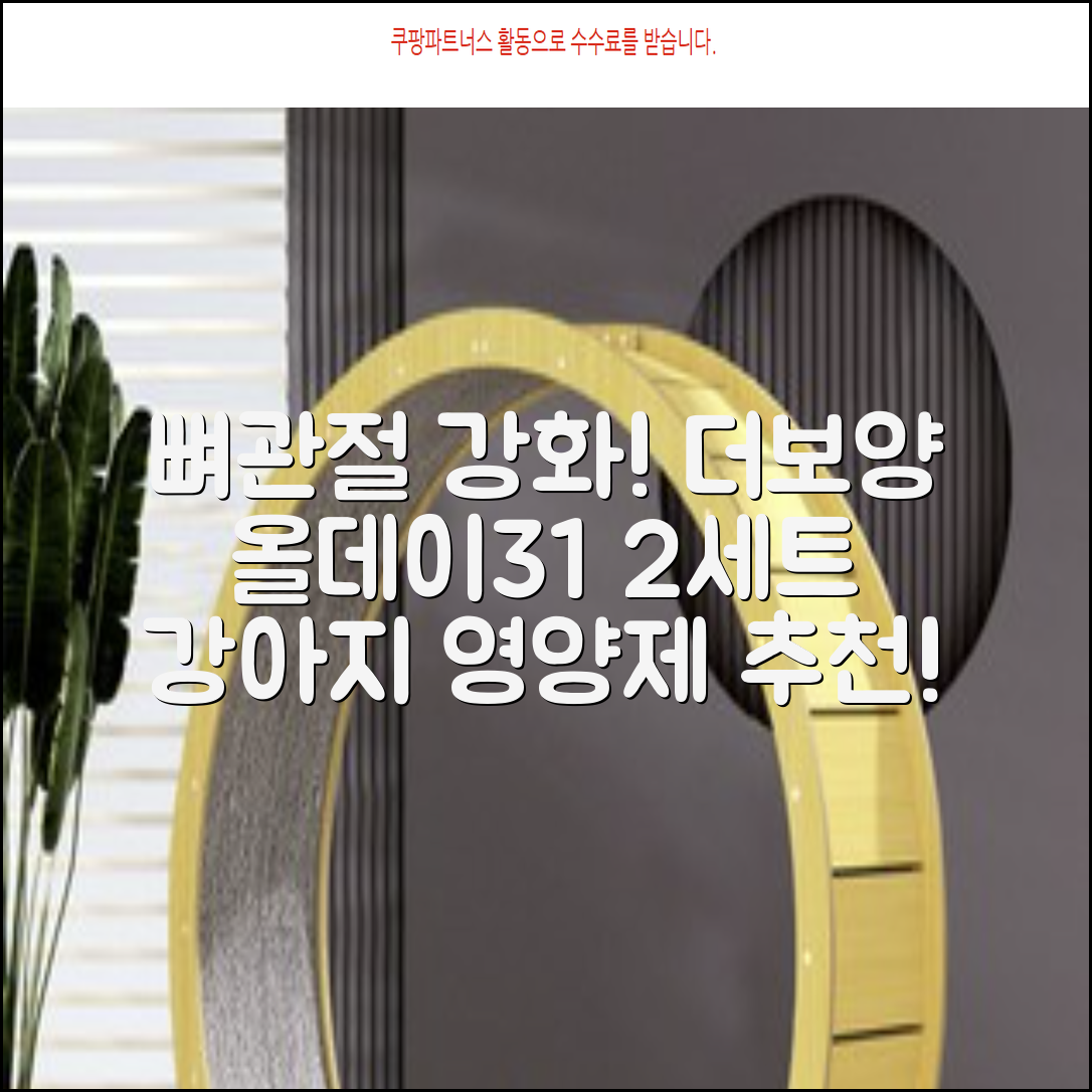 더보양 올데이31 강아지 영양제, 160정, 뼈/관절강화, 2세트 추천 리뷰