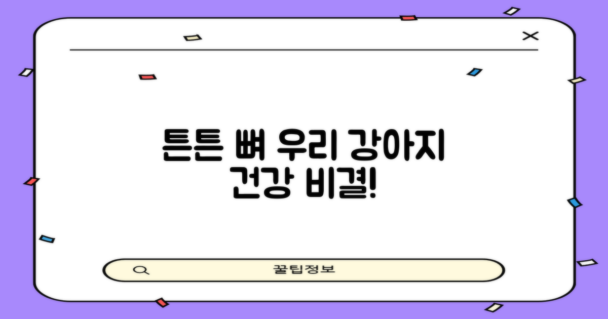 우리 강아지 뼈, 튼튼하게!