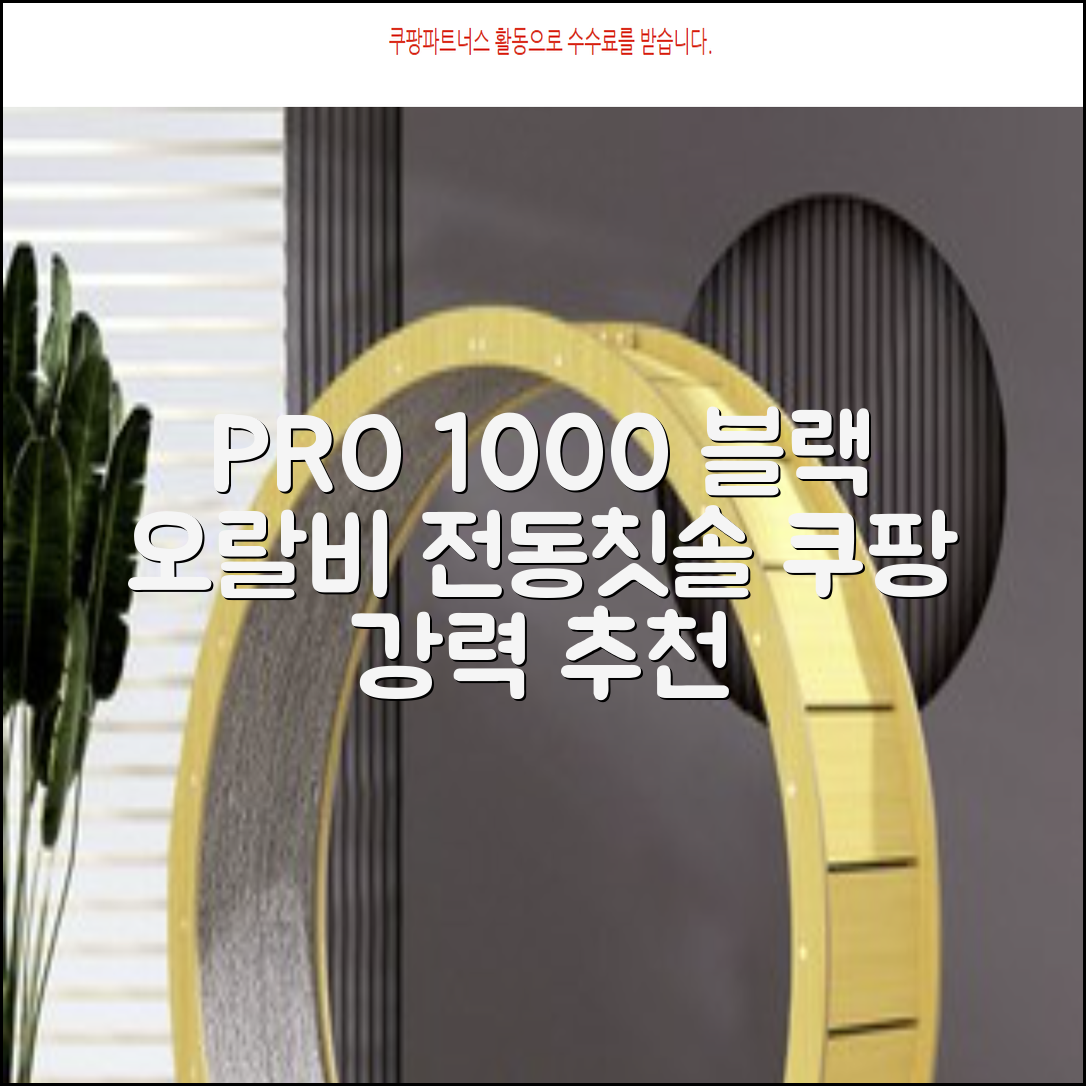 오랄비 전동칫솔, PRO 1000, 블랙, 1개 추천 리뷰